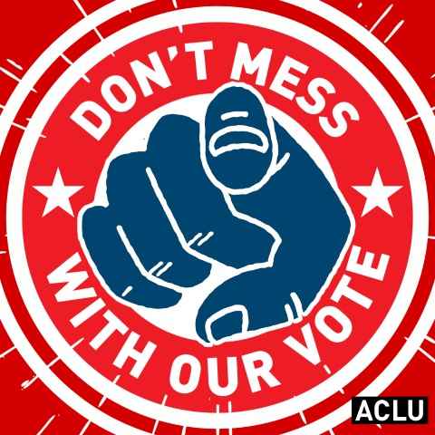 Don't Mess With Our Vote