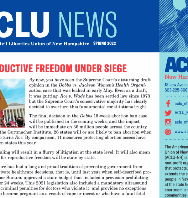 Newsletter Screenshot